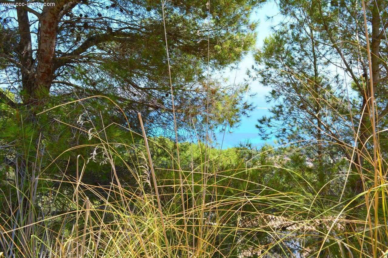 Undeveloped Land for sale in Canyamel - € 389,000 (Ref: 8045223)