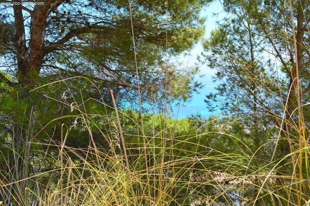 Terreno Não Urbanizado para venda em Canyamel, Capdepera - 389 000 € (Ref: 8045223)
