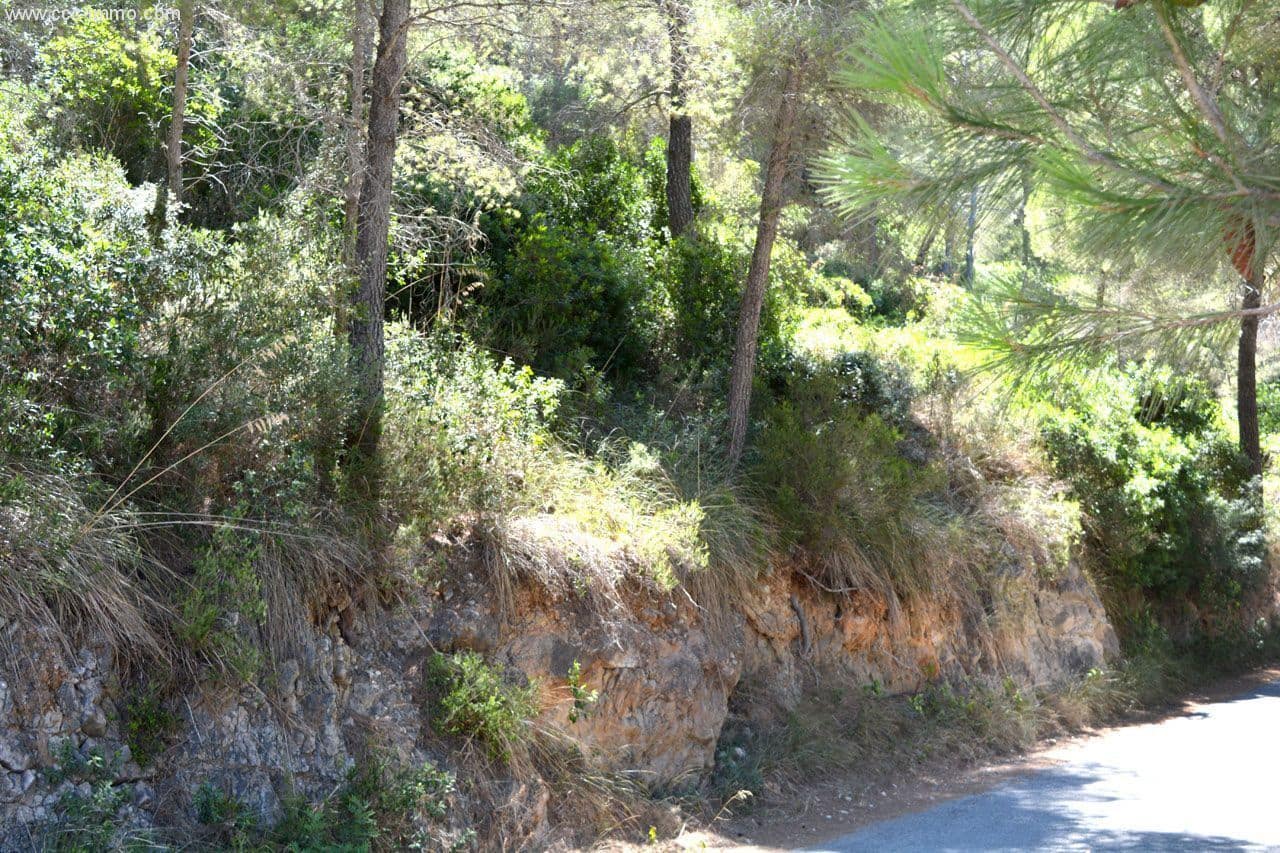 Mark till salu i Canyamel - 180 000 € (Ref: 8045225)