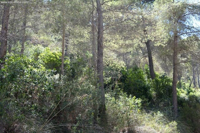 Mark till salu i Canyamel, Capdepera - 180 000 € (Ref: 8045225)