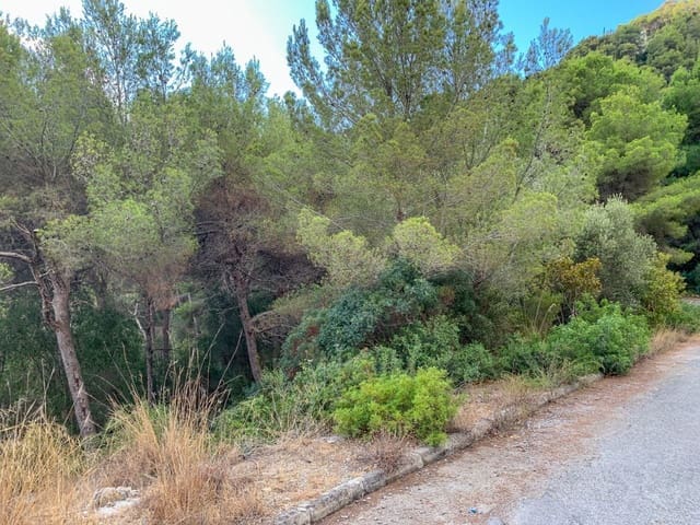 Terreno Não Urbanizado para venda em Canyamel, Capdepera - 129 000 € (Ref: 8339021)