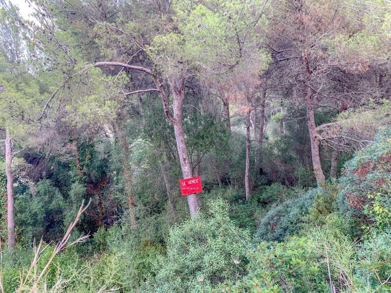 Grunde uden byggetilladelser til salg i Canyamel - € 129.000 (Ref: 8339021)