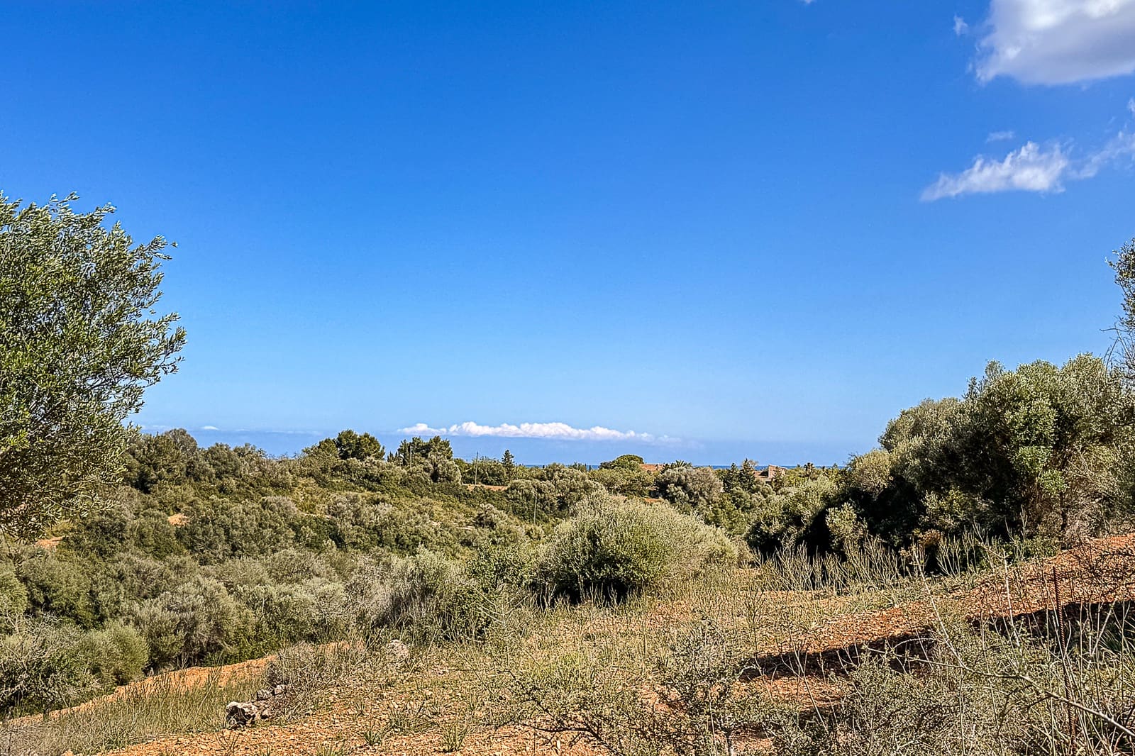 Grond te koop in Manacor - € 700.000 (Ref: 8387566)