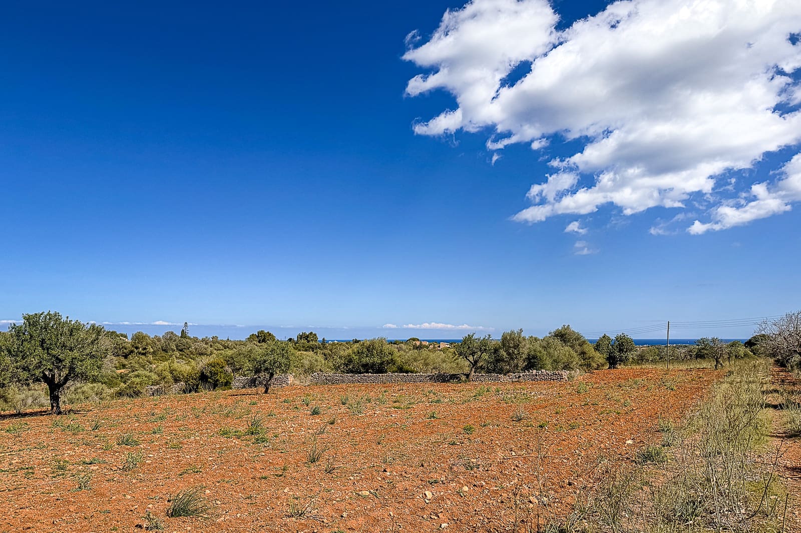 Grond te koop in Manacor - € 700.000 (Ref: 8387566)