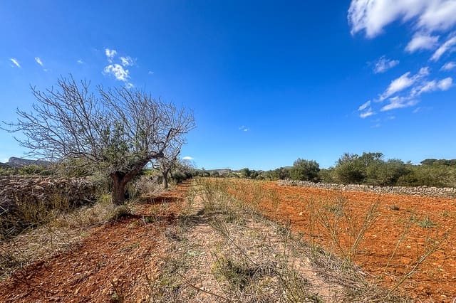 Undeveloped Land for sale in Manacor - € 700,000 (Ref: 8387566)