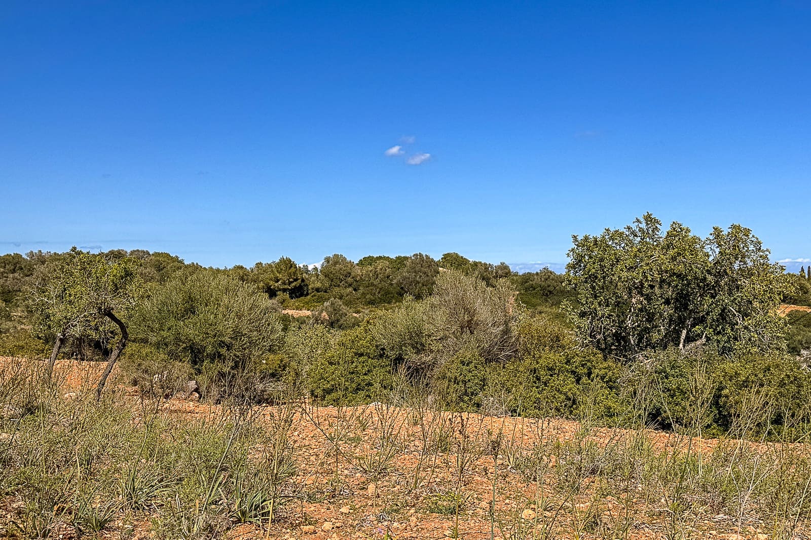 Grond te koop in Manacor - € 700.000 (Ref: 8387566)