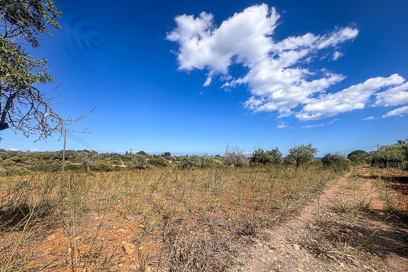 Grond te koop in Manacor - € 700.000 (Ref: 8387566)