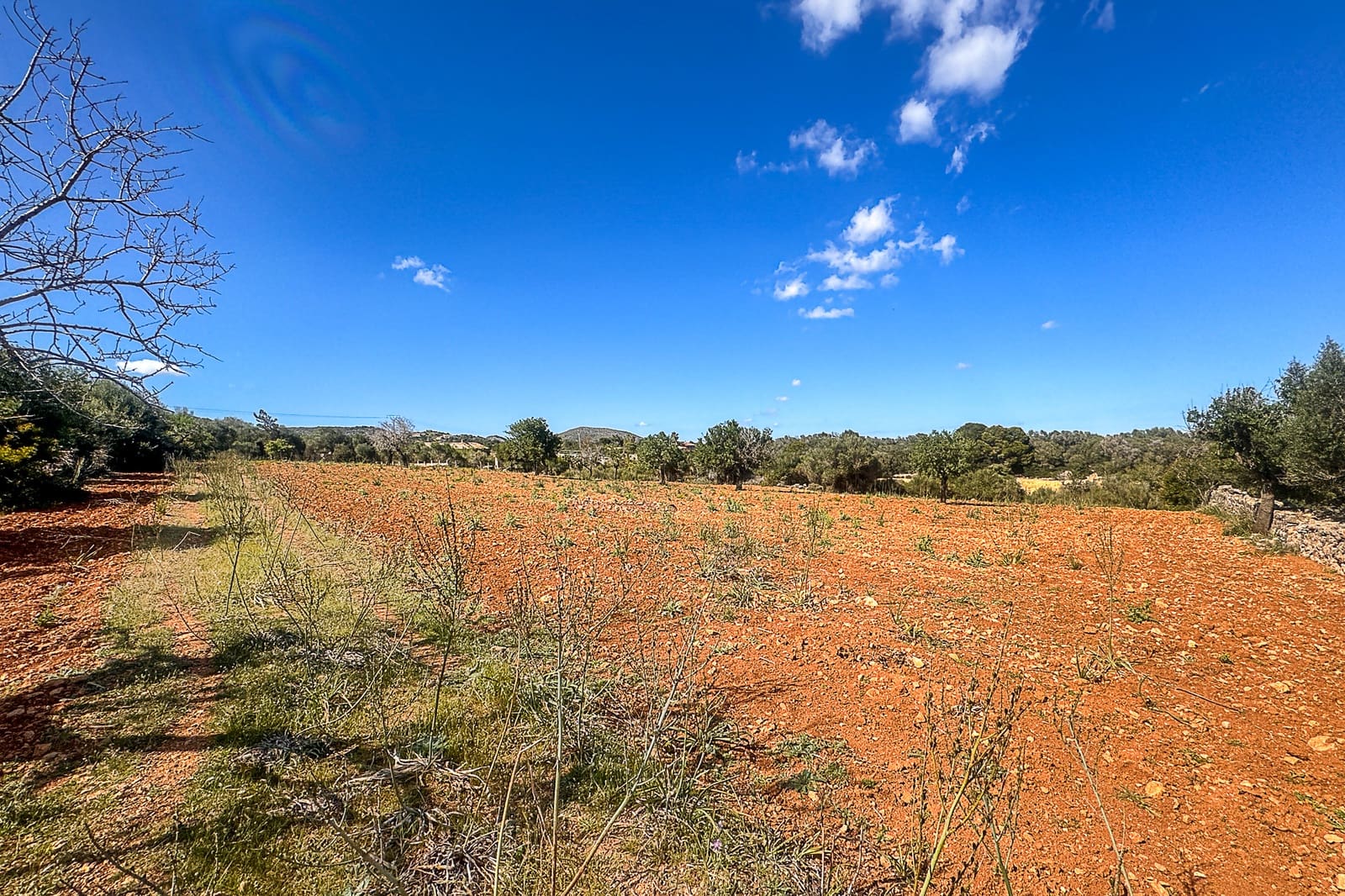 Grond te koop in Manacor - € 700.000 (Ref: 8387566)