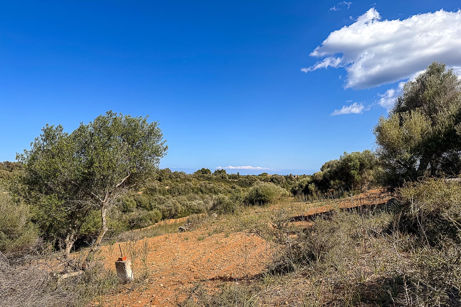 Grond te koop in Manacor - € 700.000 (Ref: 8387566)