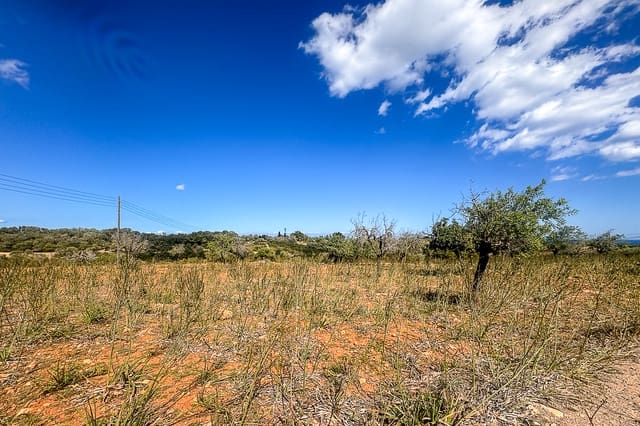 Undeveloped Land for sale in Manacor - € 700,000 (Ref: 8387566)