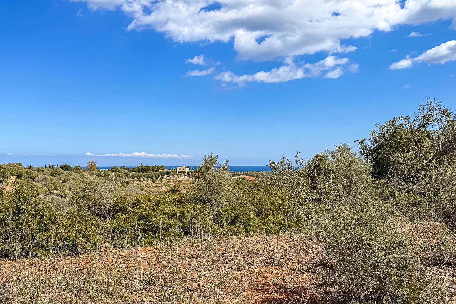 Grond te koop in Manacor - € 700.000 (Ref: 8387566)