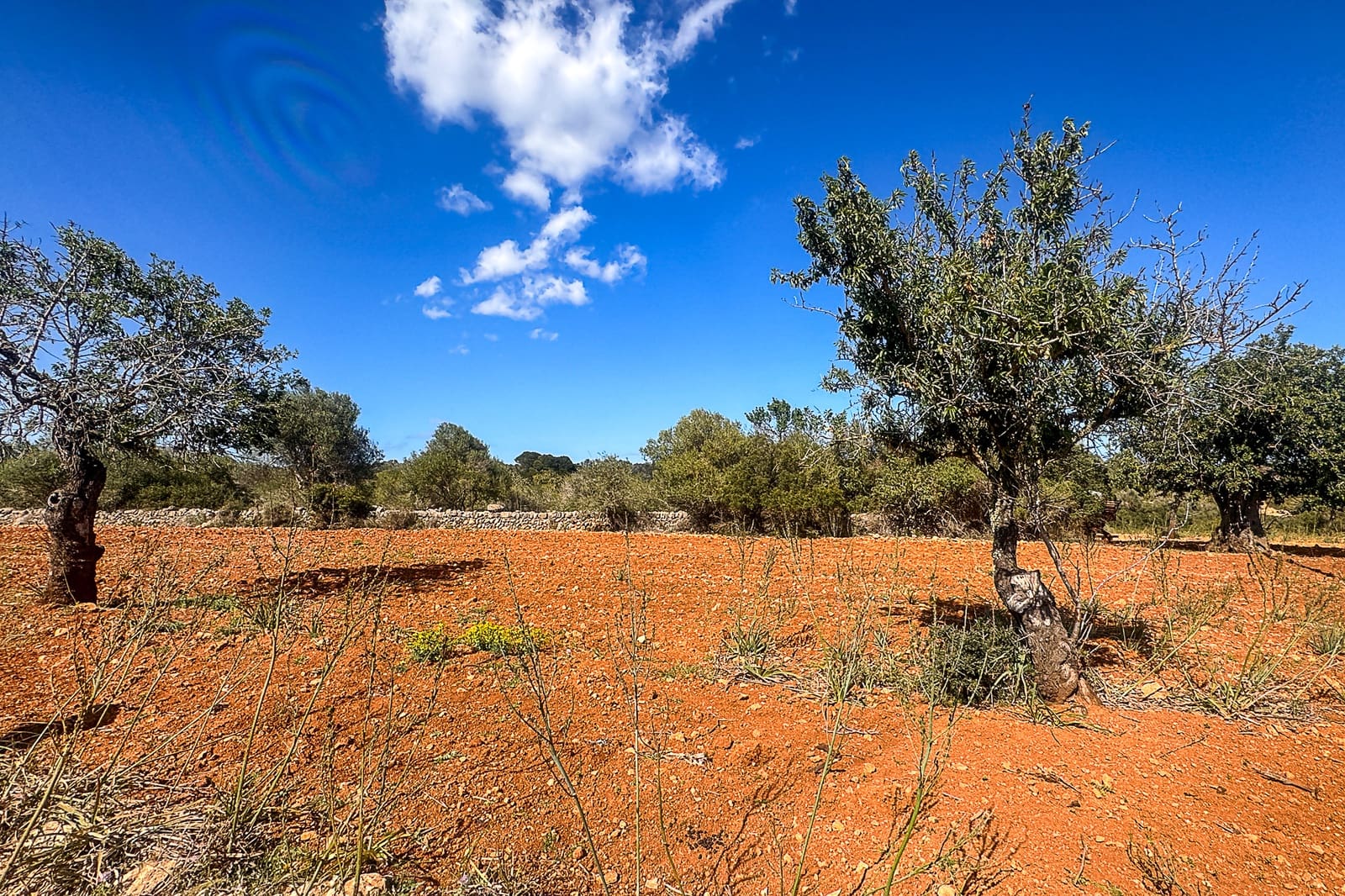 Grond te koop in Manacor - € 700.000 (Ref: 8387566)