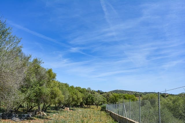 Undeveloped Land for sale in Portocristo / Port de Manacor, Manacor - € 575,000 (Ref: 8408742)