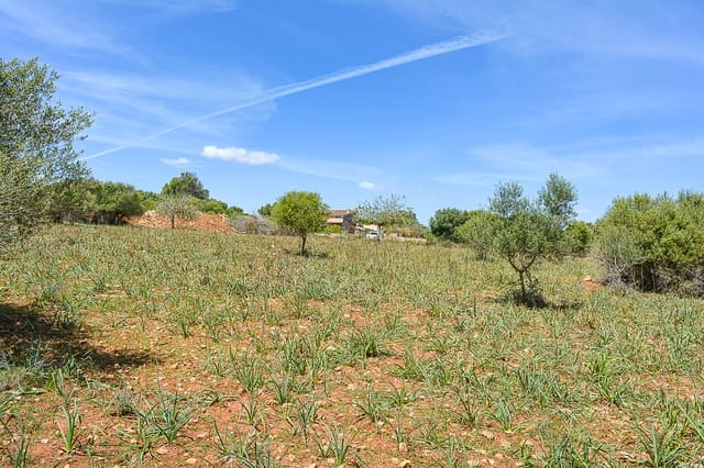 Undeveloped Land for sale in Portocristo / Port de Manacor, Manacor - € 575,000 (Ref: 8408742)