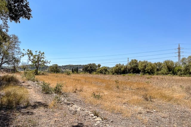 Undeveloped Land for sale in Artà - € 379,000 (Ref: 8459024)