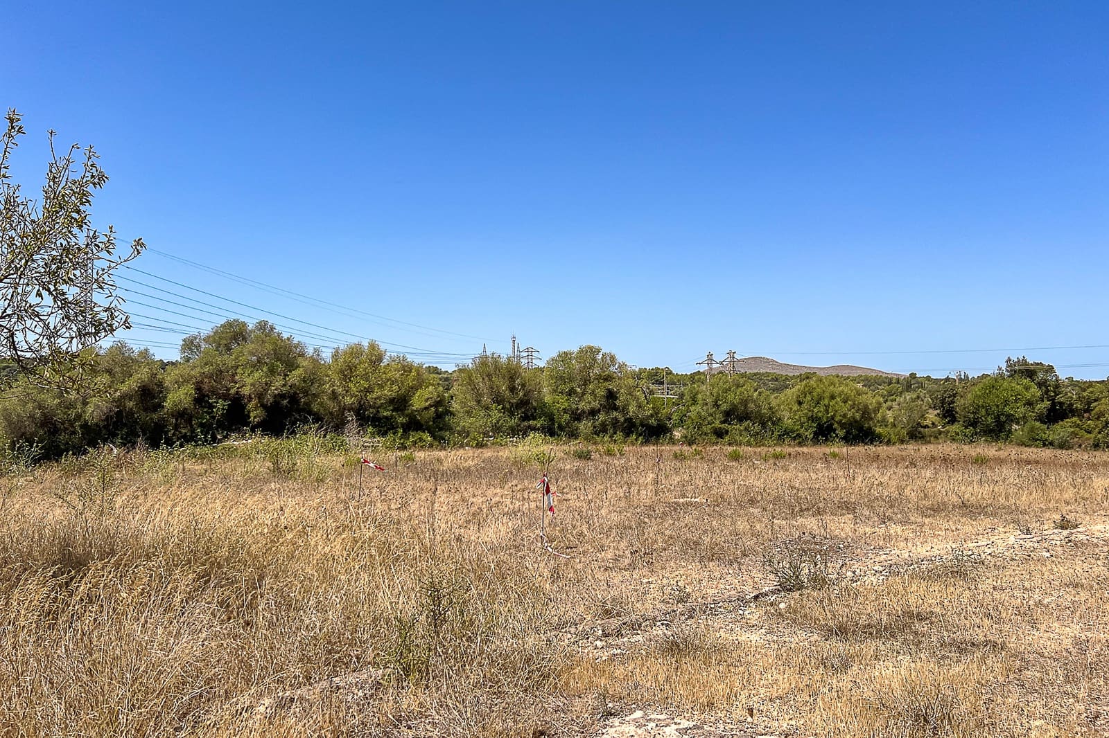 Grunde uden byggetilladelser til salg i Arta - € 379.000 (Ref: 8459024)