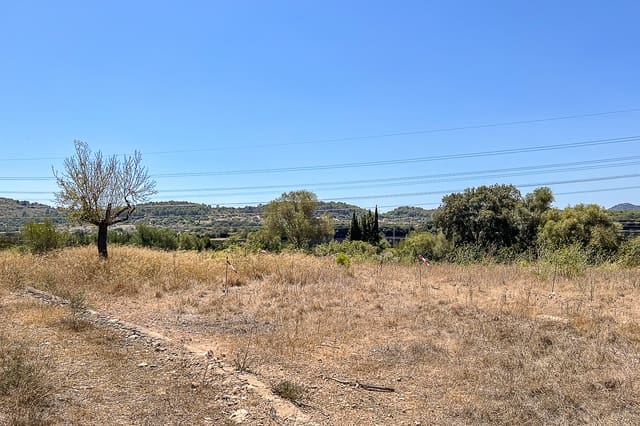 Undeveloped Land for sale in Artà - € 379,000 (Ref: 8459024)