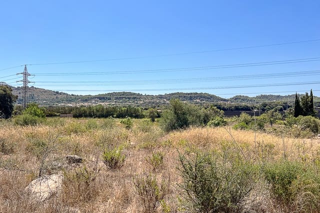 Undeveloped Land for sale in Artà - € 379,000 (Ref: 8459024)