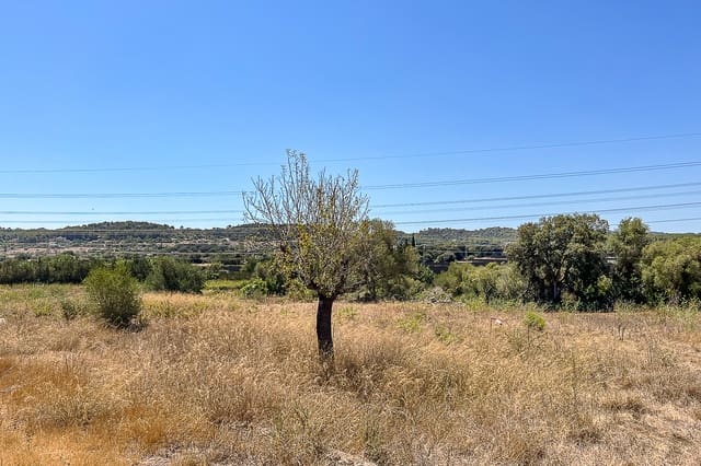 Undeveloped Land for sale in Artà - € 379,000 (Ref: 8459024)