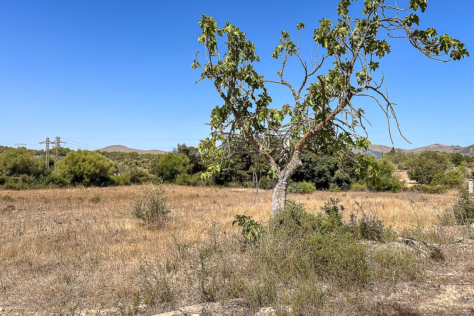 Grunde uden byggetilladelser til salg i Arta - € 379.000 (Ref: 8459024)