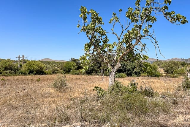 Undeveloped Land for sale in Artà - € 379,000 (Ref: 8459024)