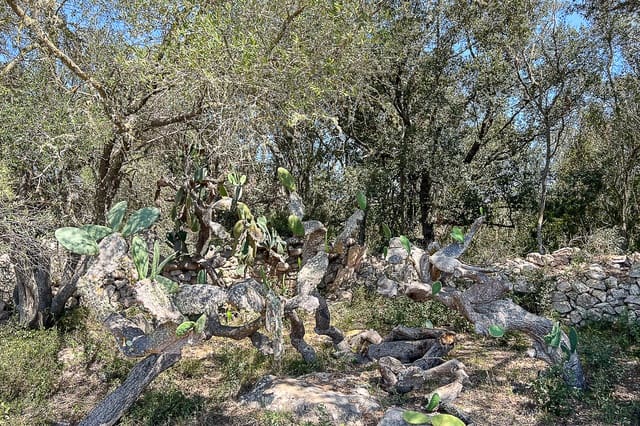 Undeveloped Land for sale in Artà - € 379,000 (Ref: 8459024)