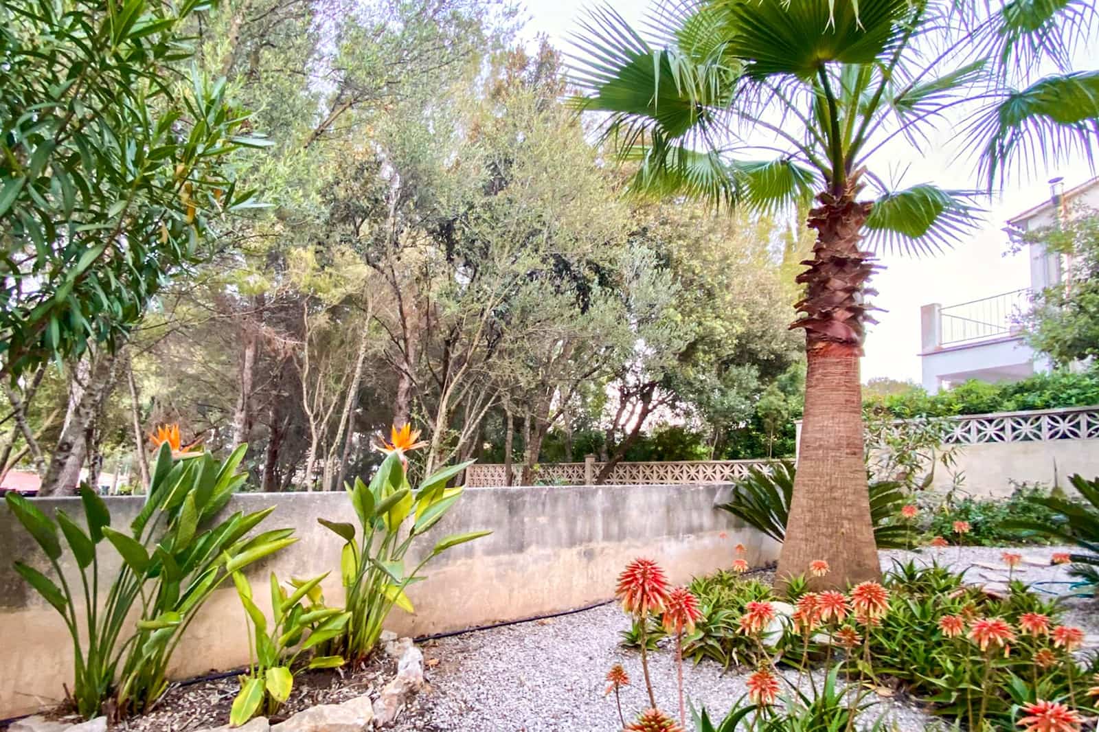 3 sovrum Villa att hyra i Cala Ratjada - 2 200 € (Ref: 8697467)