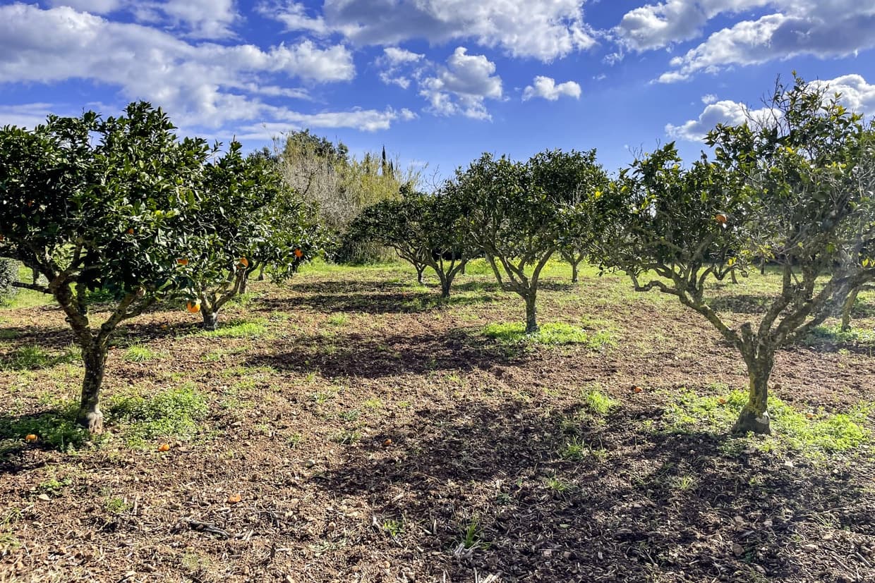 3 soveværelse Finca/Landehus til salg i Son Servera med garage - € 789.000 (Ref: 8814797)