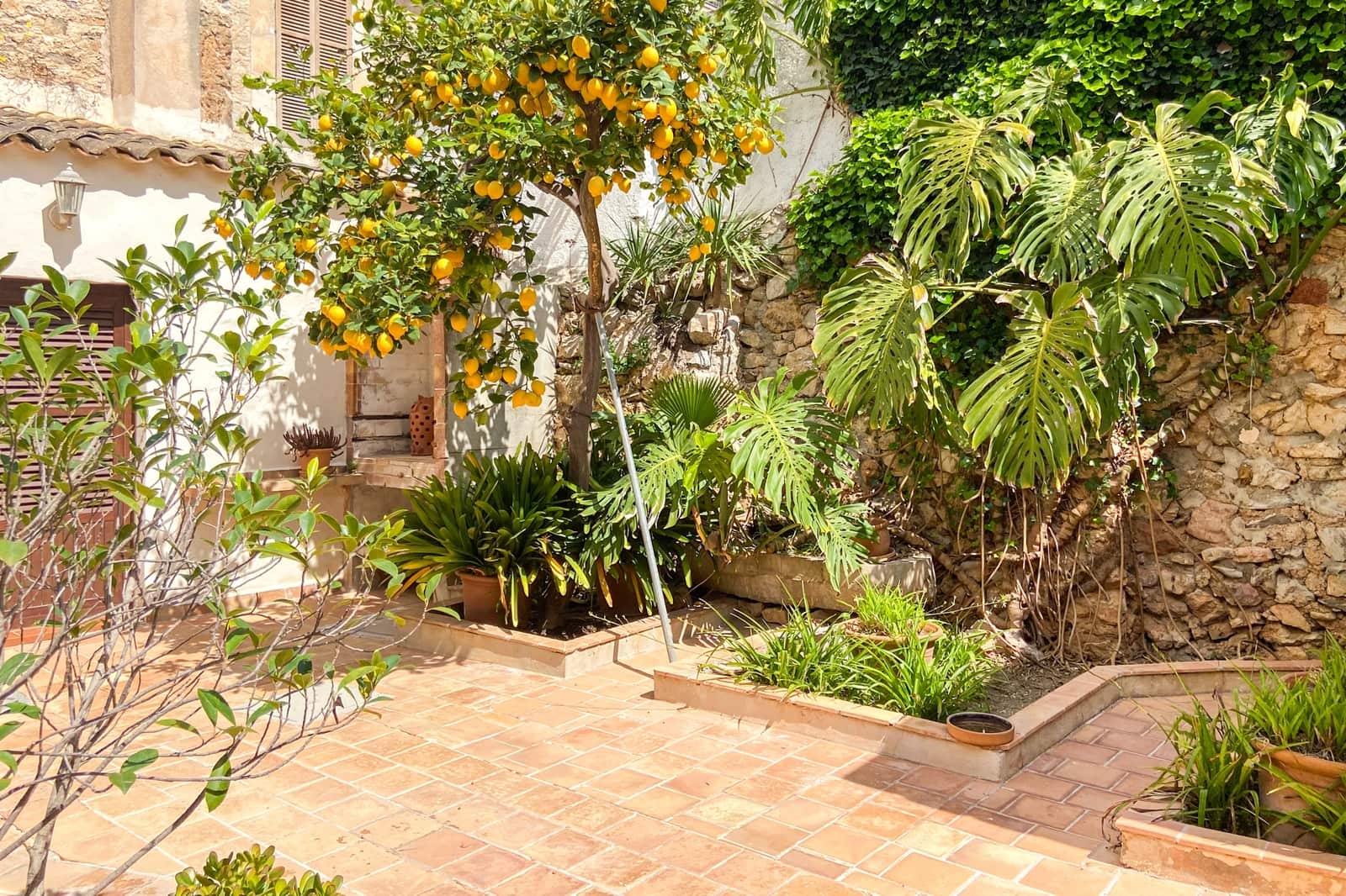 3 quarto Casa em Banda para venda em Arta - 589 000 € (Ref: 8942010)