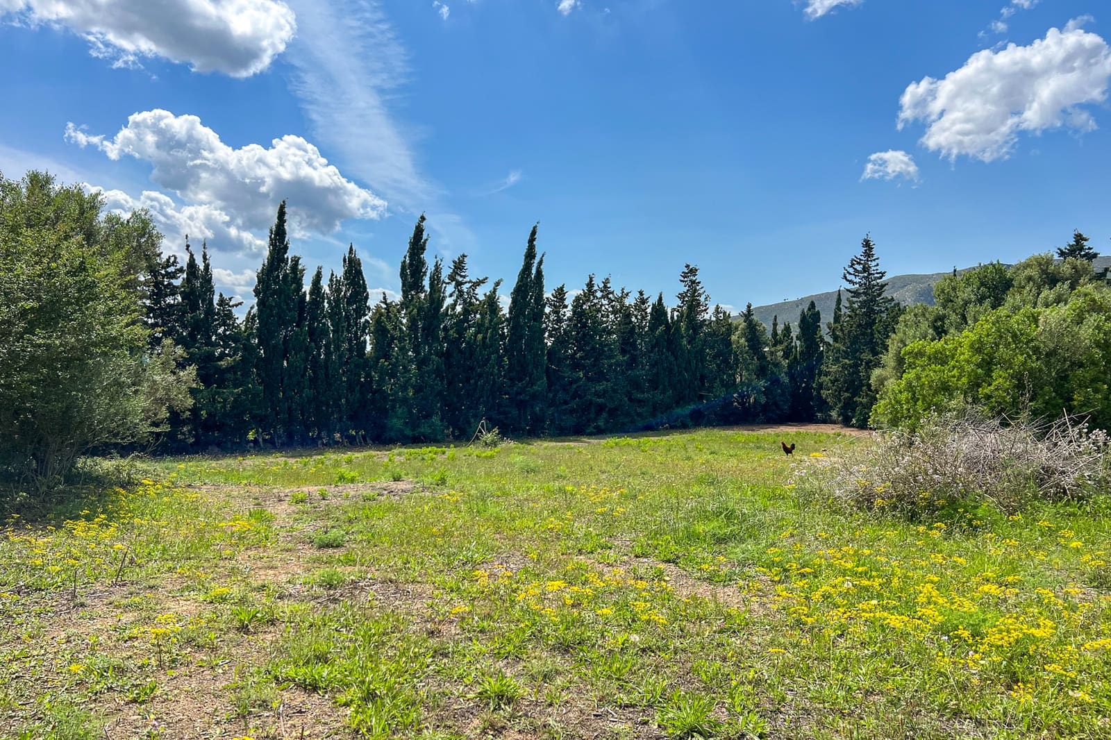 5 soveværelse Finca/Landehus til salg i Capdepera med swimmingpool - € 999.000 (Ref: 9006685)