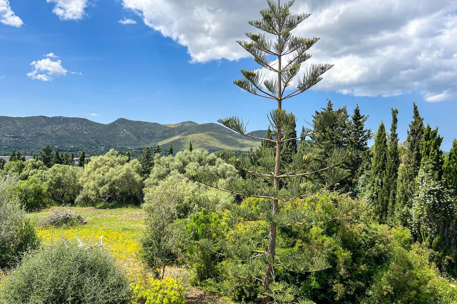 5 soveværelse Finca/Landehus til salg i Capdepera med swimmingpool - € 999.000 (Ref: 9006685)