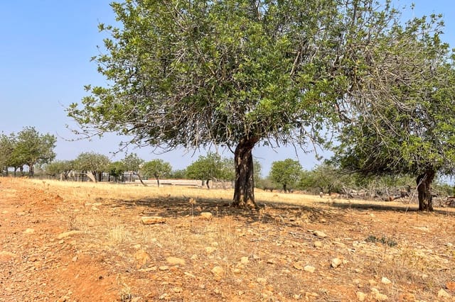 3 sypialnia Finka/Dom wiejski na sprzedaż w Artà z basenem - 1 250 000 € (Ref: 9211089)