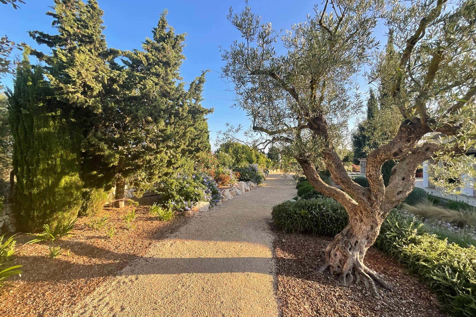 2 bedroom Finca/Country House for sale in Montuiri with pool - € 1,790,000 (Ref: 9271763)