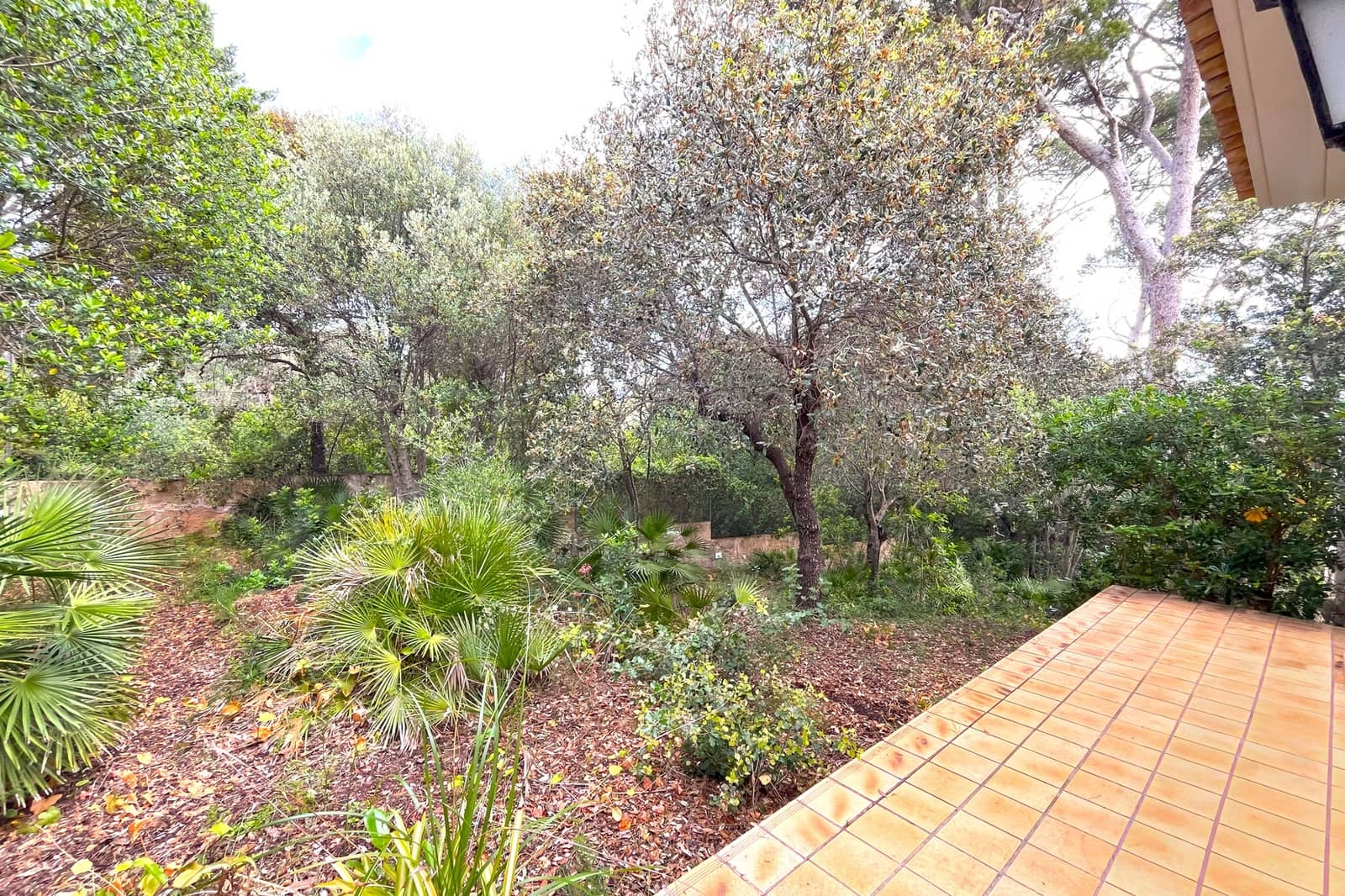 4 soveværelse Villa til salg i Cala Ratjada med swimmingpool - € 1.695.000 (Ref: 9319551)