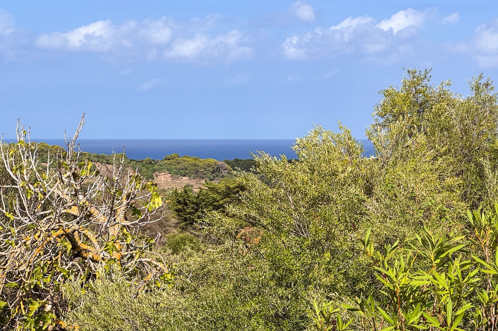 2 sovrum Villa till salu i Capdepera - 450 000 € (Ref: 9325167)