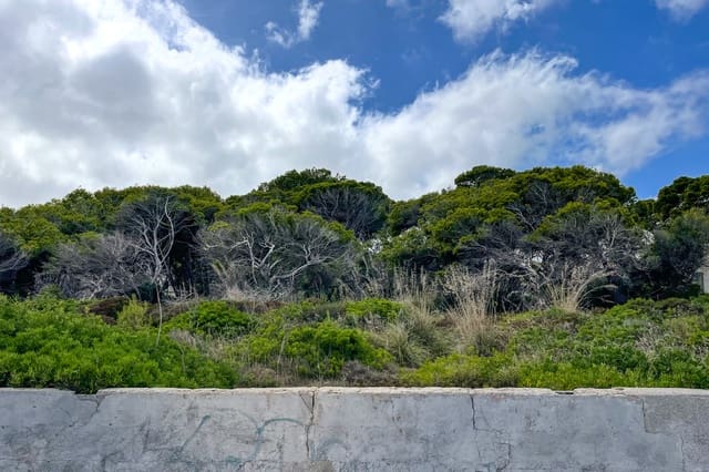 Mark till salu i Cala Ratjada, Capdepera - 2 400 000 € (Ref: 9347854)