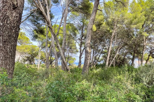 Mark till salu i Cala Ratjada, Capdepera - 2 400 000 € (Ref: 9347854)