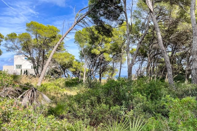 Mark till salu i Cala Ratjada, Capdepera - 2 400 000 € (Ref: 9347854)