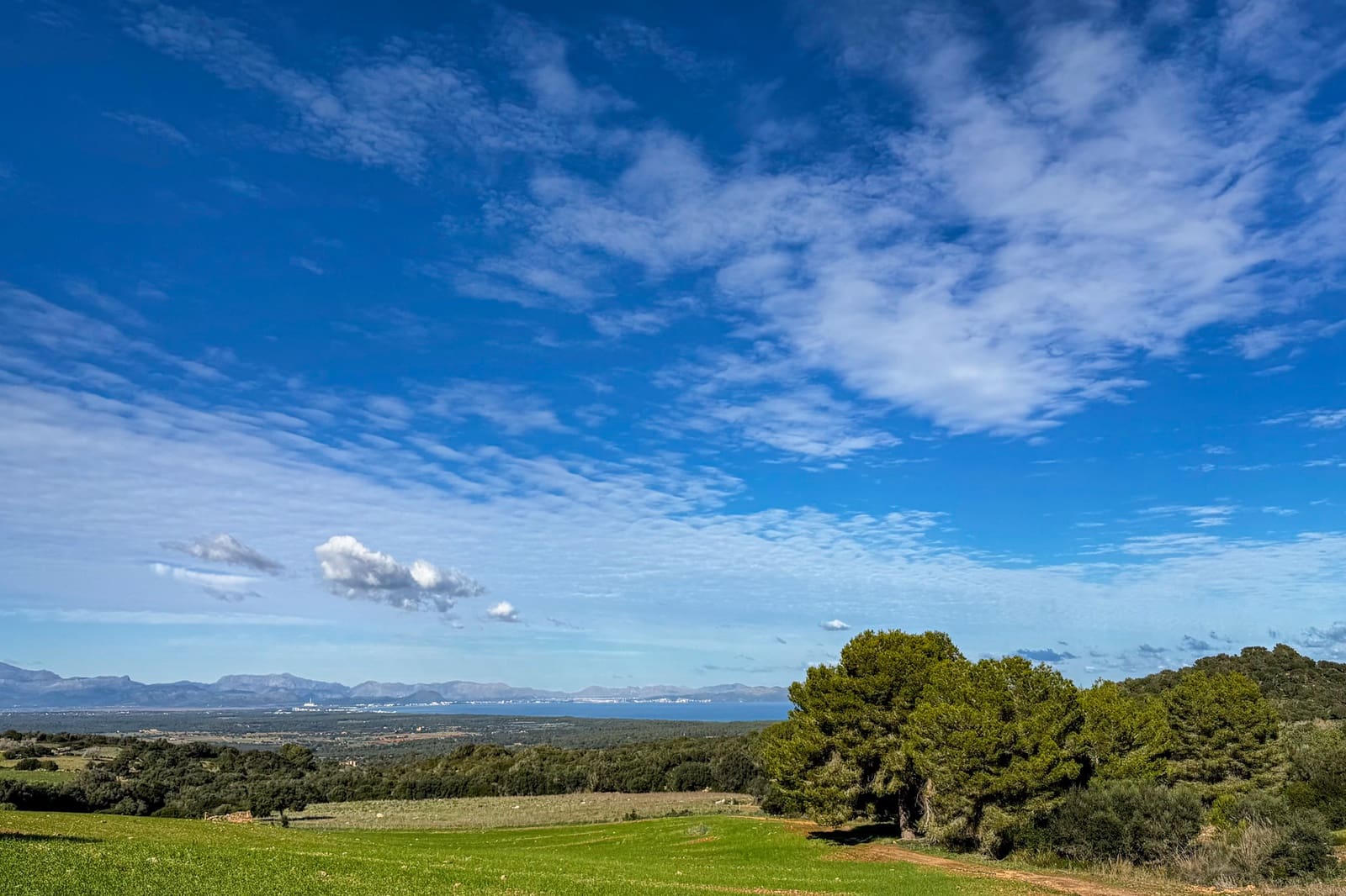 Ubebygd land til salgs i Son Serra de Marina - € 3 300 000 (Ref: 9459490)
