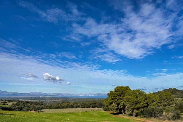 Ubebygd land til salgs i Son Serra de Marina, Santa Margalida - € 3 300 000 (Ref: 9459490)