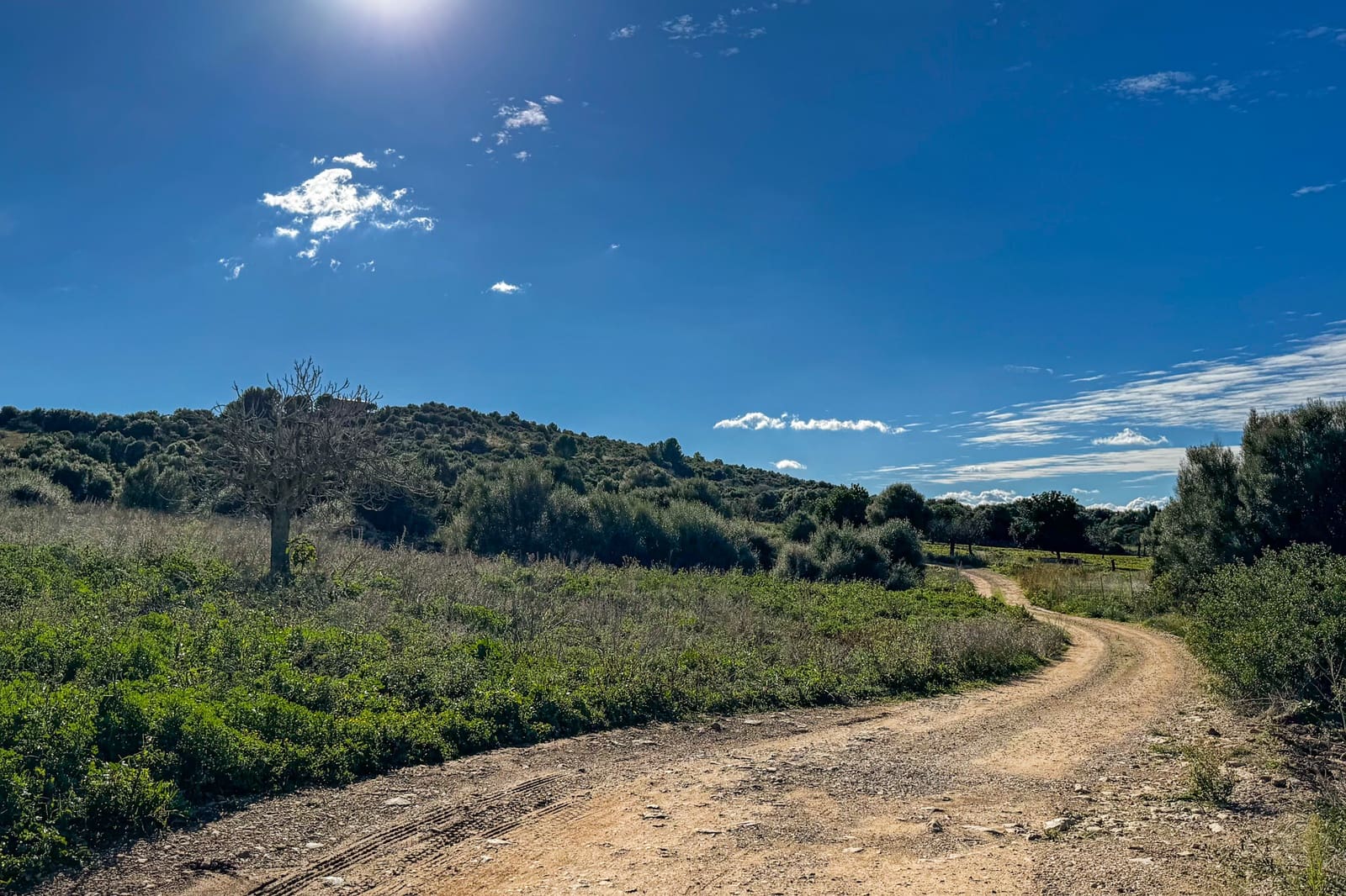 Ubebygd land til salgs i Son Serra de Marina - € 3 300 000 (Ref: 9459490)