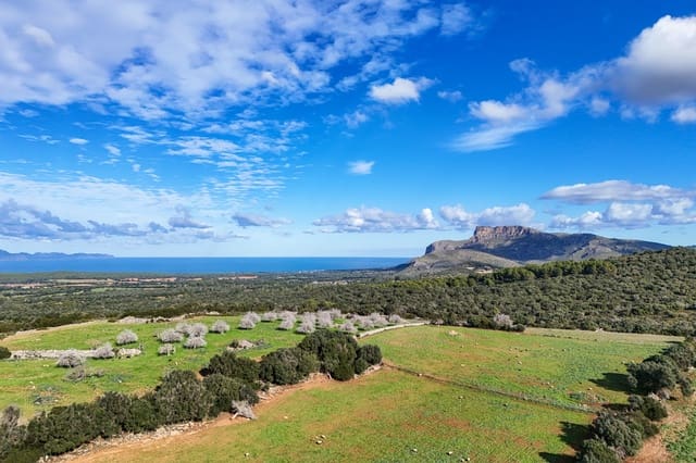 Terreno Não Urbanizado para venda em Son Serra de Marina, Santa Margalida - 3 300 000 € (Ref: 9459490)