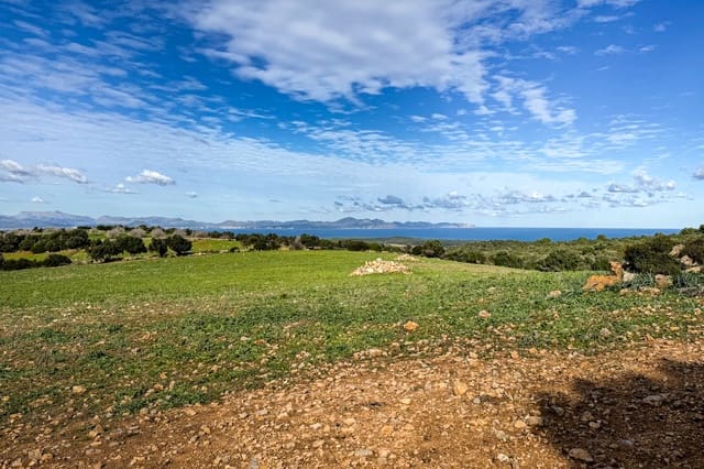 Ubebygd land til salgs i Son Serra de Marina, Santa Margalida - € 3 300 000 (Ref: 9459490)