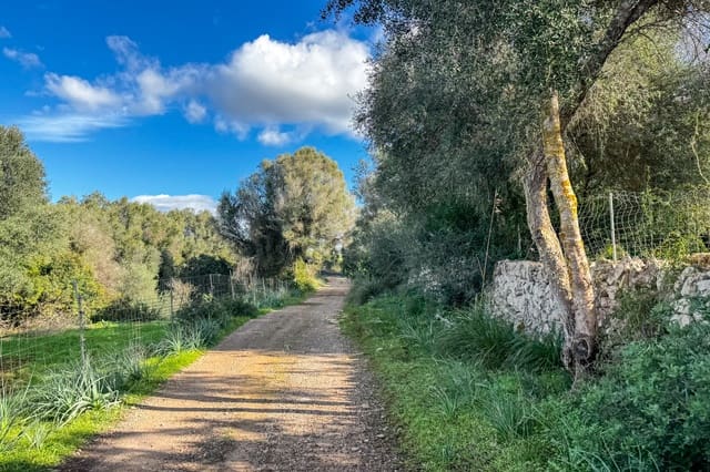 Ubebygd land til salgs i Son Serra de Marina, Santa Margalida - € 3 300 000 (Ref: 9459490)