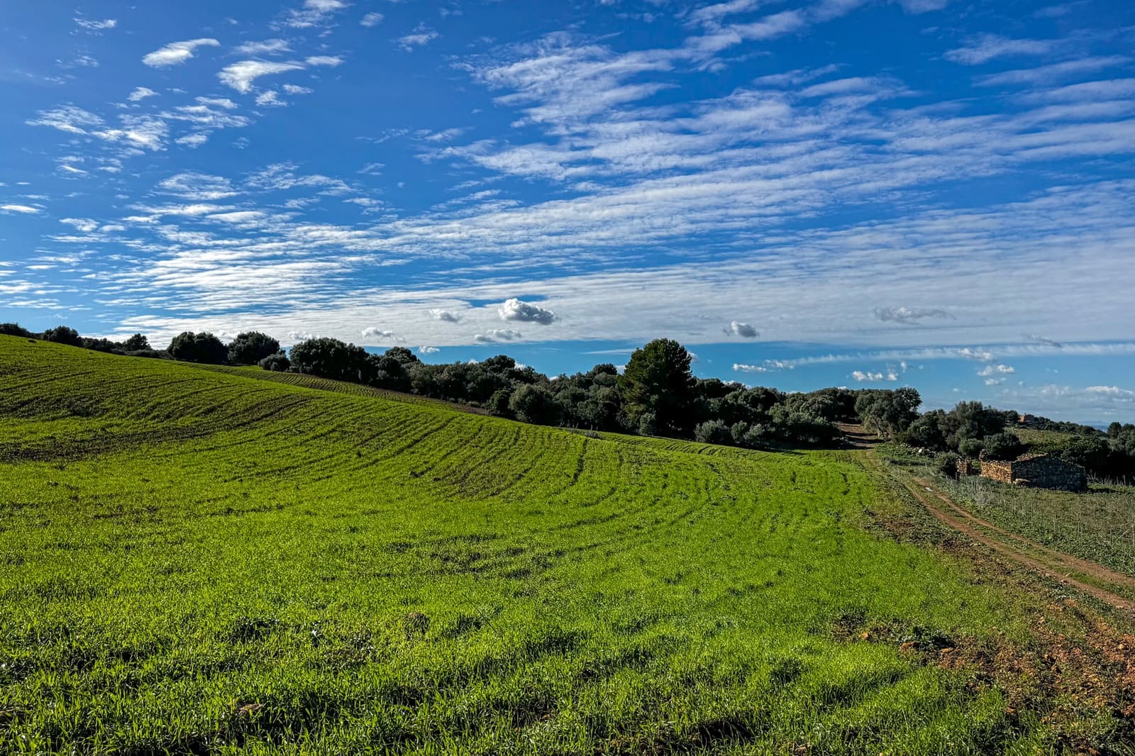 Ubebygd land til salgs i Son Serra de Marina - € 3 300 000 (Ref: 9459490)