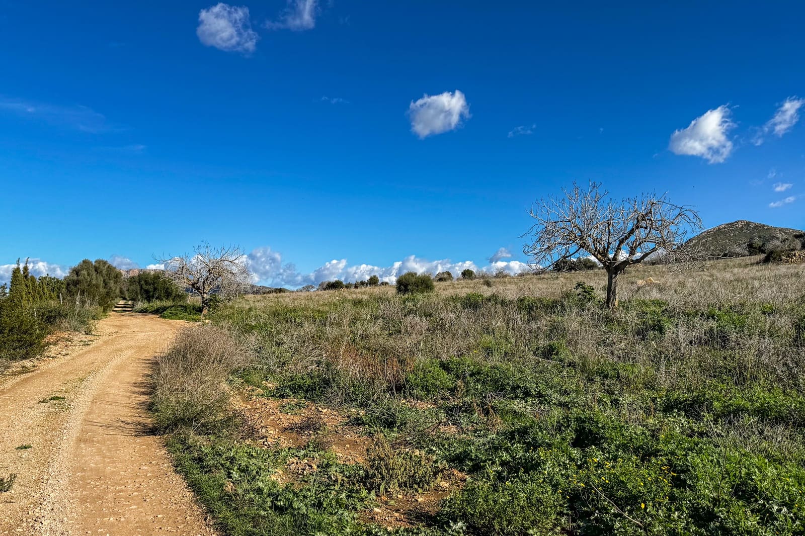 Ubebygd land til salgs i Son Serra de Marina - € 3 300 000 (Ref: 9459490)