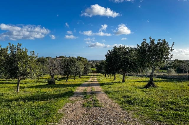 3 Zimmer Finca/Landgut zu vermieten in Manacor mit Pool - 3.500 € (Ref: 9517898)
