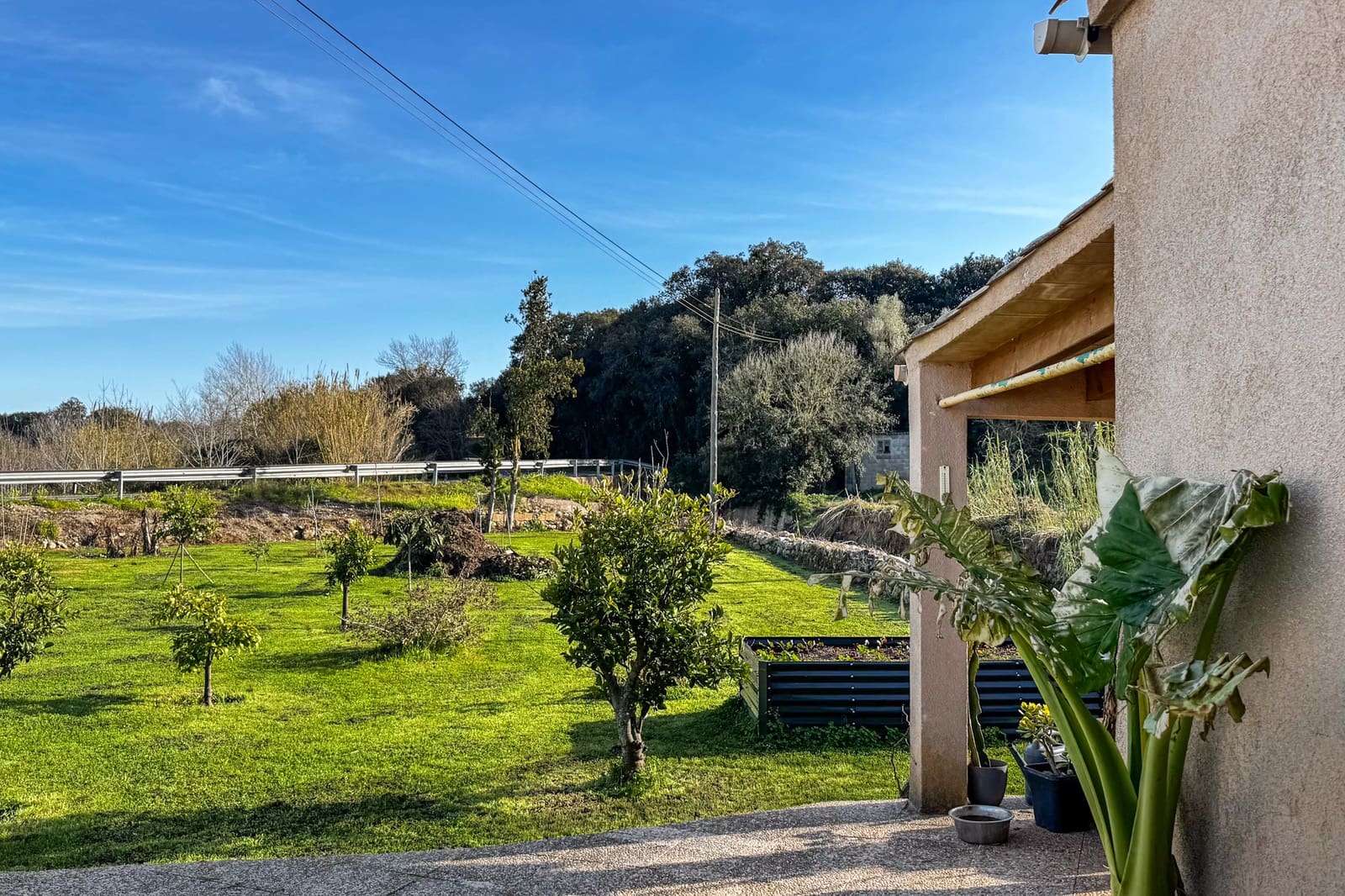 Ubebygd land til salgs i Arta - € 125 000 (Ref: 9532734)