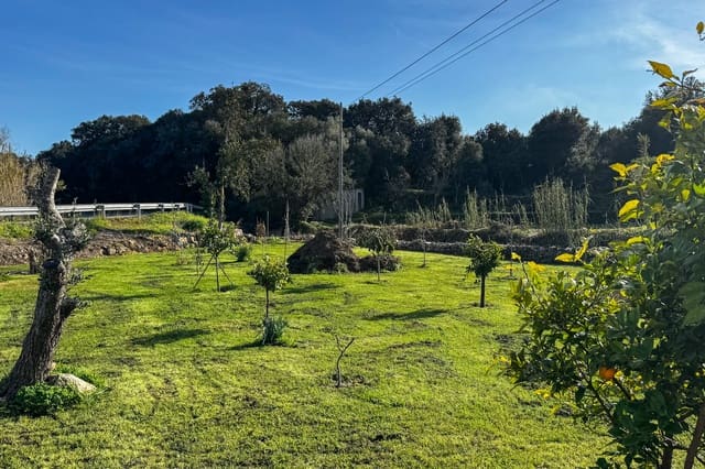 Ubebygd land til salgs i Artà - € 125 000 (Ref: 9532734)