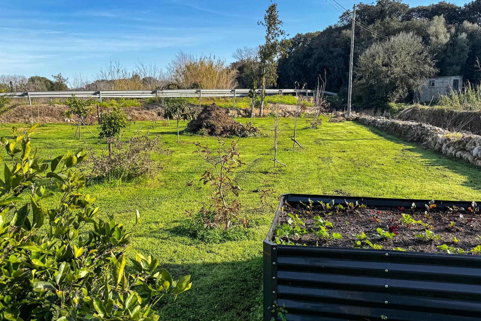 Ubebygd land til salgs i Arta - € 125 000 (Ref: 9532734)